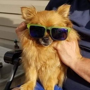 Meet your Posher, Jason